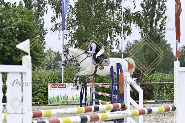 Fränkische Meisterschaft - Prüfung 10, Springpr. Kl. L - Image 116