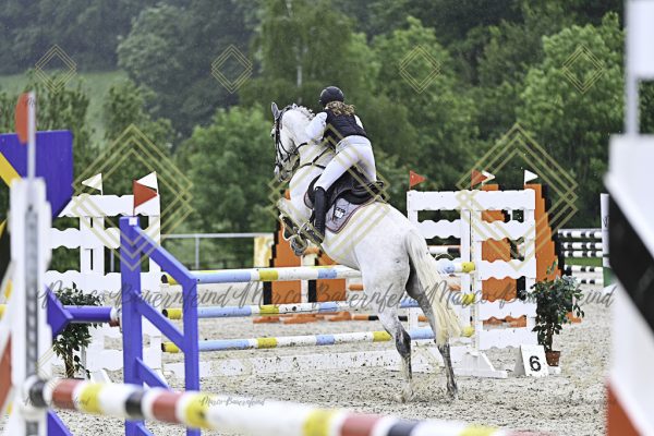 Fränkische Meisterschaft - Prüfung 10, Springpr. Kl. L - Image 117