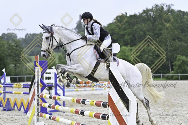 Fränkische Meisterschaft - Prüfung 10, Springpr. Kl. L - Image 119