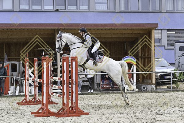 Fränkische Meisterschaft - Prüfung 10, Springpr. Kl. L - Image 120