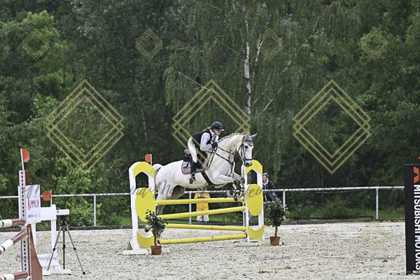 Fränkische Meisterschaft - Prüfung 10, Springpr. Kl. L - Image 121