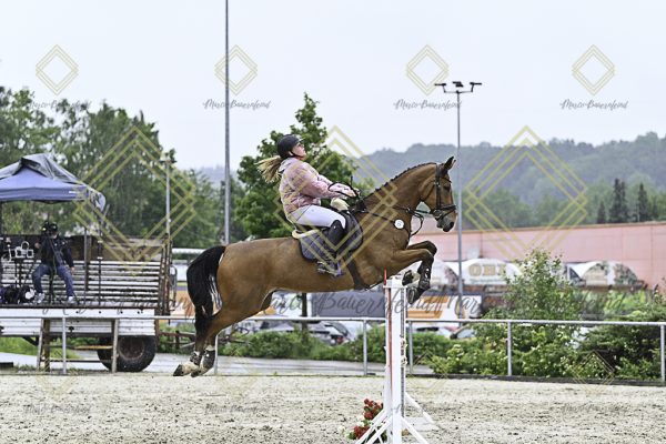 Fränkische Meisterschaft - Prüfung 10, Springpr. Kl. L - Image 123