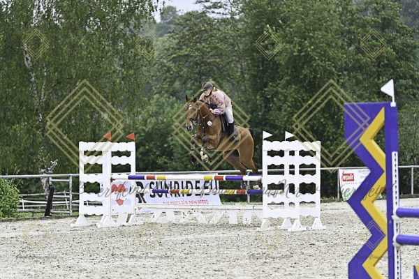 Fränkische Meisterschaft - Prüfung 10, Springpr. Kl. L - Image 125