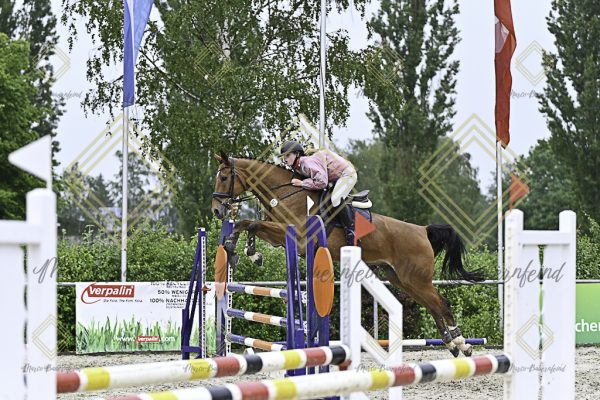 Fränkische Meisterschaft - Prüfung 10, Springpr. Kl. L - Image 126