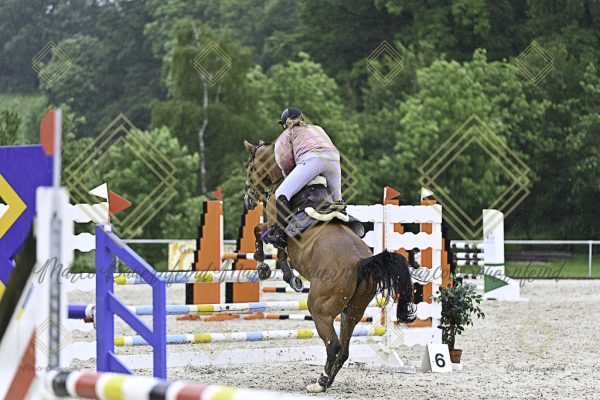 Fränkische Meisterschaft - Prüfung 10, Springpr. Kl. L - Image 127