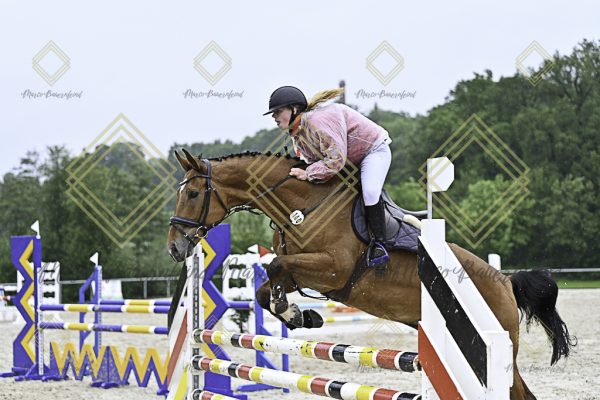 Fränkische Meisterschaft - Prüfung 10, Springpr. Kl. L - Image 129
