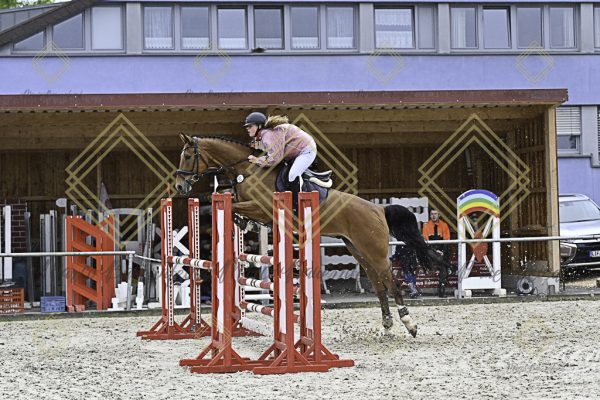 Fränkische Meisterschaft - Prüfung 10, Springpr. Kl. L - Image 130