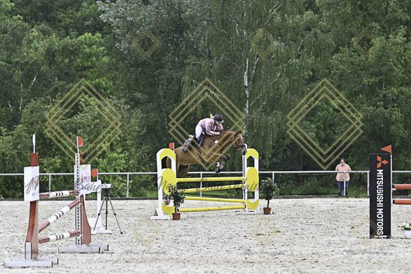 Fränkische Meisterschaft - Prüfung 10, Springpr. Kl. L - Image 131
