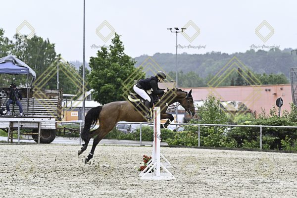 Fränkische Meisterschaft - Prüfung 10, Springpr. Kl. L - Image 132