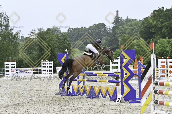 Fränkische Meisterschaft - Prüfung 10, Springpr. Kl. L - Image 133