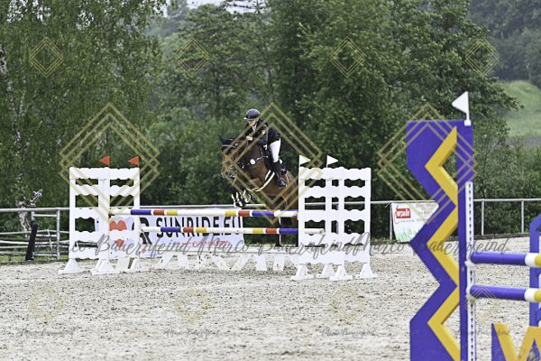 Fränkische Meisterschaft - Prüfung 10, Springpr. Kl. L - Image 134