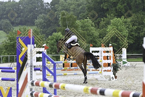 Fränkische Meisterschaft - Prüfung 10, Springpr. Kl. L - Image 135