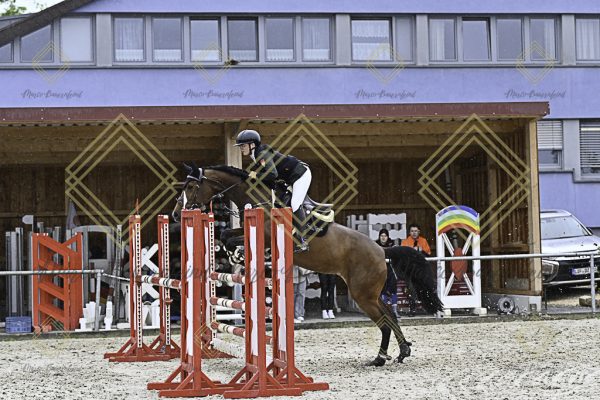 Fränkische Meisterschaft - Prüfung 10, Springpr. Kl. L - Image 138