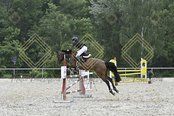 Fränkische Meisterschaft - Prüfung 10, Springpr. Kl. L - Image 139