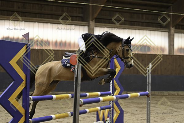 Fränkische Meisterschaft - Prüfung 15, Ponystilpr. Kl. L - Image 19