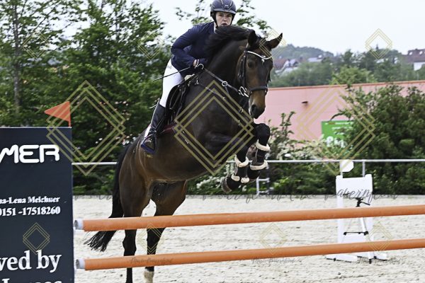 Fränkische Meisterschaft - Prüfung 19, Springpr. Kl. L - Image 127