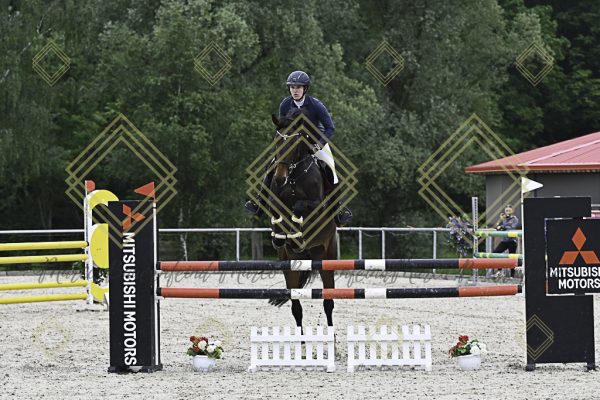 Fränkische Meisterschaft - Prüfung 19, Springpr. Kl. L - Image 128