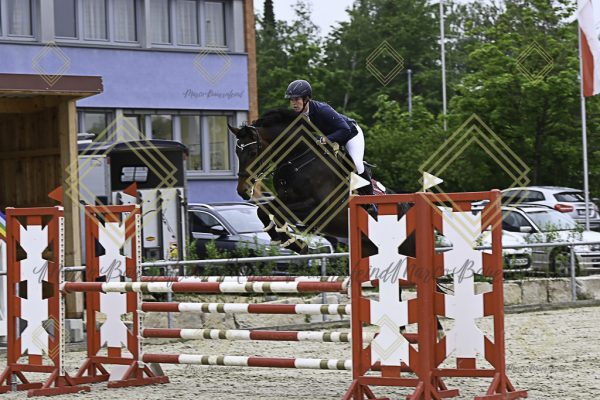 Fränkische Meisterschaft - Prüfung 19, Springpr. Kl. L - Image 129