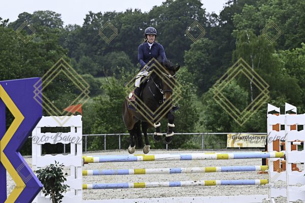 Fränkische Meisterschaft - Prüfung 19, Springpr. Kl. L - Image 130