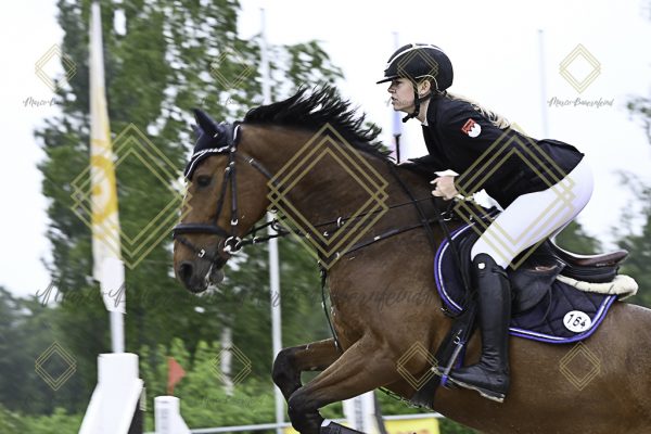 Fränkische Meisterschaft - Prüfung 19, Springpr. Kl. L - Image 133