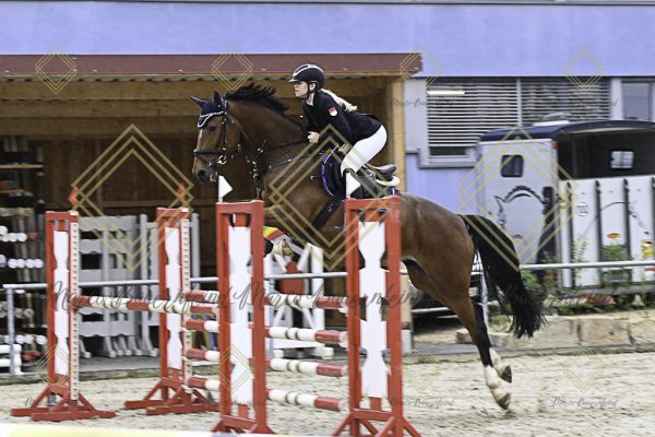 Fränkische Meisterschaft - Prüfung 19, Springpr. Kl. L - Image 134