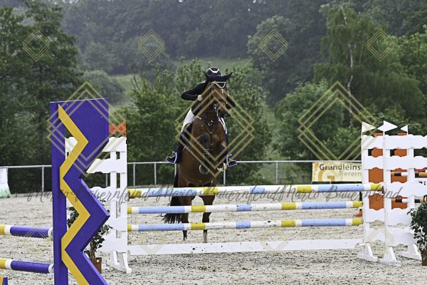 Fränkische Meisterschaft - Prüfung 19, Springpr. Kl. L - Image 135