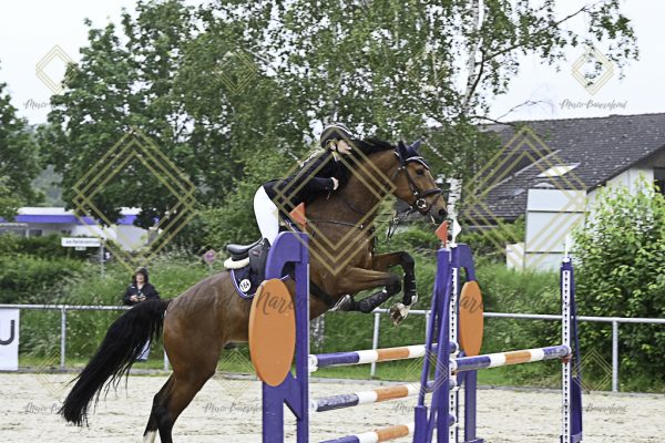 Fränkische Meisterschaft - Prüfung 19, Springpr. Kl. L - Image 136