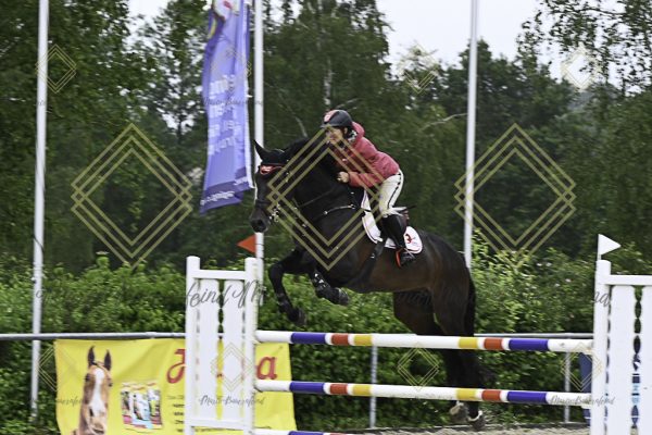 Fränkische Meisterschaft - Prüfung 18, Springpr. Kl. M* - Image 108