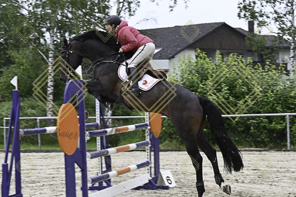 Fränkische Meisterschaft - Prüfung 18, Springpr. Kl. M* - Image 109
