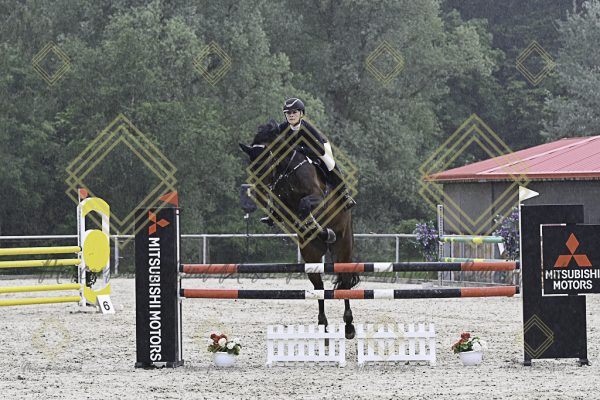 Fränkische Meisterschaft - Prüfung 19, Springpr. Kl. L - Image 137