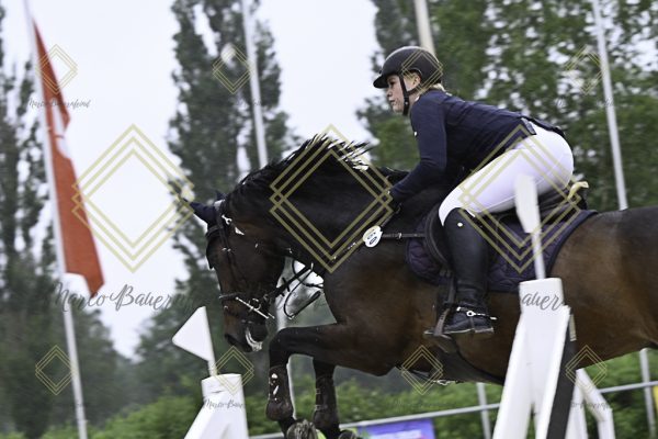 Fränkische Meisterschaft - Prüfung 19, Springpr. Kl. L - Image 140