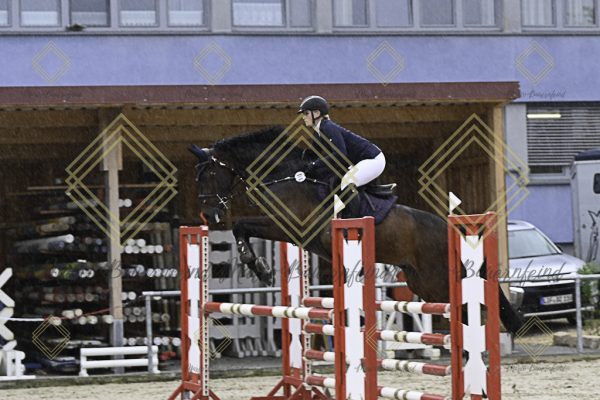 Fränkische Meisterschaft - Prüfung 19, Springpr. Kl. L - Image 142