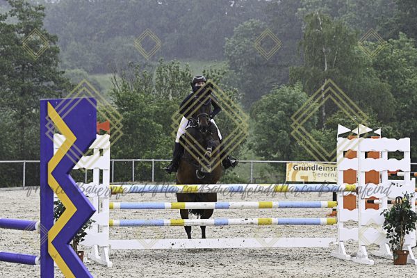 Fränkische Meisterschaft - Prüfung 19, Springpr. Kl. L - Image 143