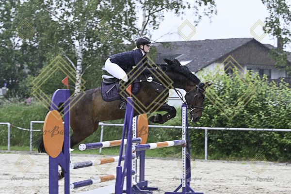 Fränkische Meisterschaft - Prüfung 19, Springpr. Kl. L - Image 144