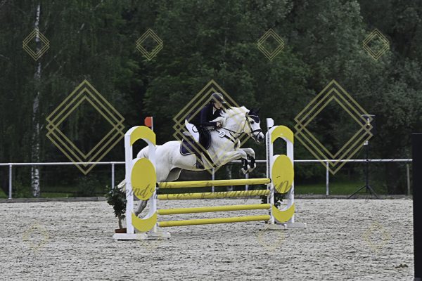 Fränkische Meisterschaft - Prüfung 20, Springpr.Kl.A** - Image 79