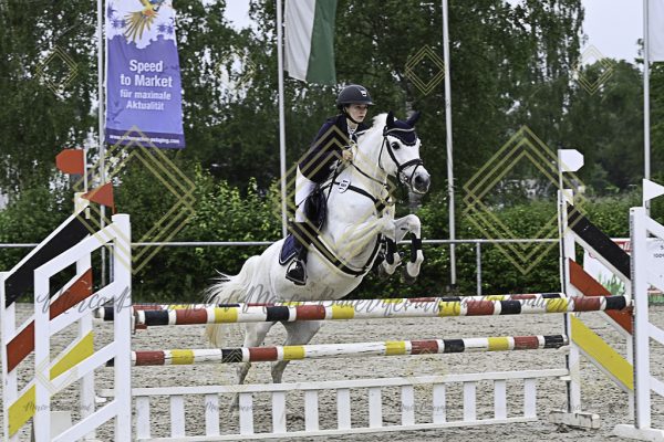 Fränkische Meisterschaft - Prüfung 20, Springpr.Kl.A** - Image 81