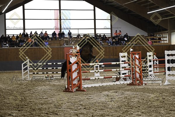 Fränkische Meisterschaft - Prüfung 5, Springpr. Kl. M** - Image 57