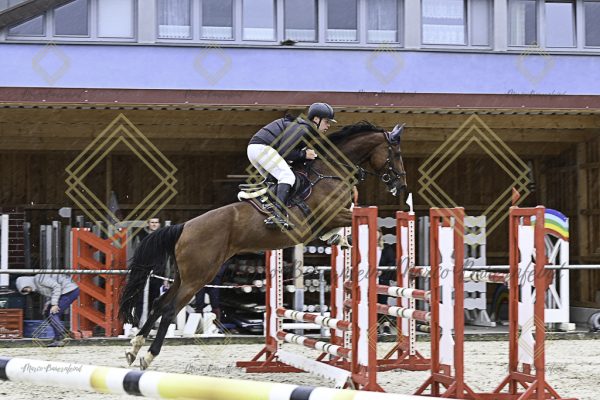 Fränkische Meisterschaft - Prüfung 18, Springpr. Kl. M* - Image 116