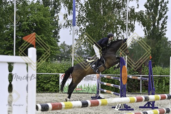 Fränkische Meisterschaft - Prüfung 7, Springpr. Kl. L - Image 89
