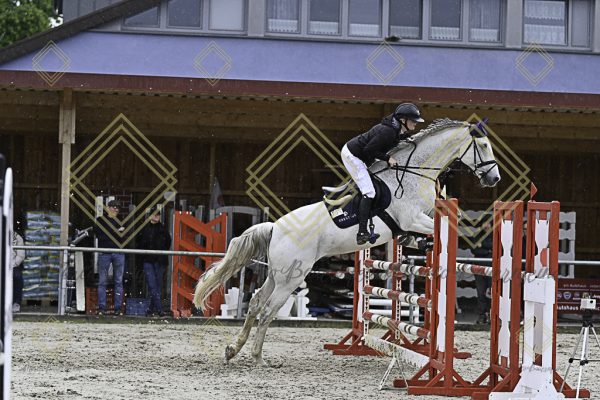 Fränkische Meisterschaft - Prüfung 7, Springpr. Kl. L - Image 92