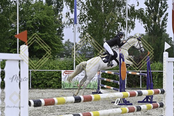 Fränkische Meisterschaft - Prüfung 7, Springpr. Kl. L - Image 95
