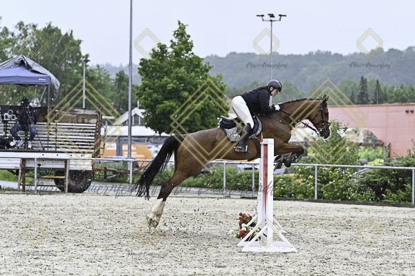 Fränkische Meisterschaft - Prüfung 10, Springpr. Kl. L - Image 140