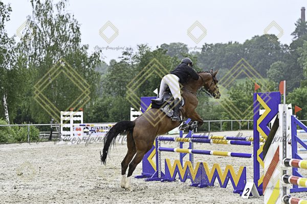 Fränkische Meisterschaft - Prüfung 10, Springpr. Kl. L - Image 141