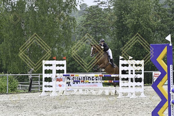 Fränkische Meisterschaft - Prüfung 10, Springpr. Kl. L - Image 142
