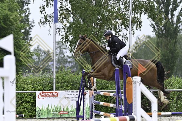 Fränkische Meisterschaft - Prüfung 10, Springpr. Kl. L - Image 143