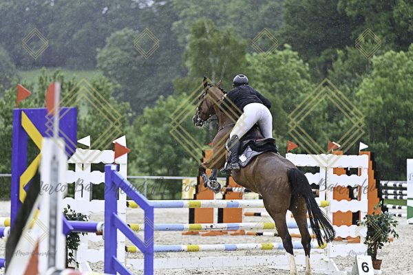 Fränkische Meisterschaft - Prüfung 10, Springpr. Kl. L - Image 144