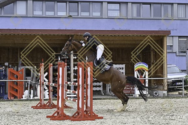 Fränkische Meisterschaft - Prüfung 10, Springpr. Kl. L - Image 147