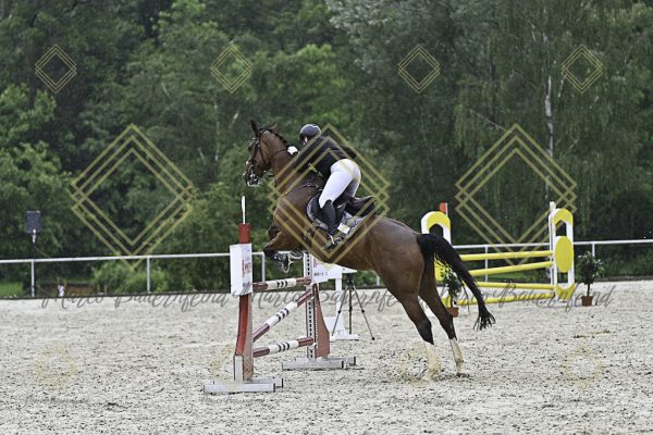 Fränkische Meisterschaft - Prüfung 10, Springpr. Kl. L - Image 148