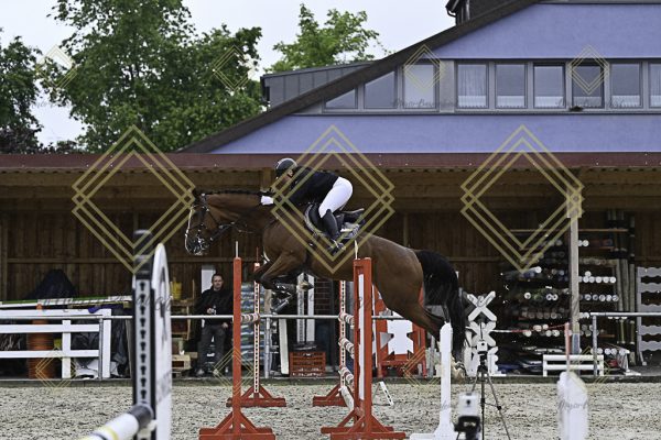 Fränkische Meisterschaft - Prüfung 4, Springpr. Kl. M* - Image 80