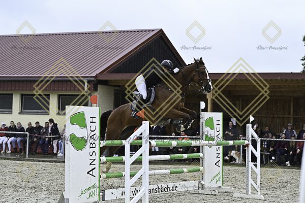 Fränkische Meisterschaft - Prüfung 4, Springpr. Kl. M* - Image 81